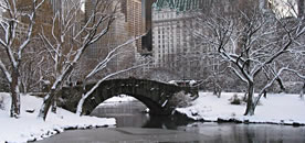 Snow in Central Park