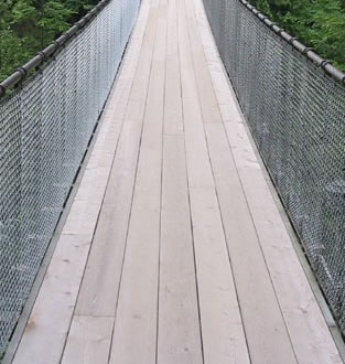 Capilano Suspension Bridge